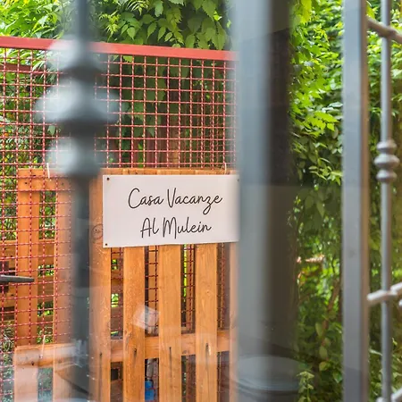 Apartment Al Mulein - 2 Passi Dal Centro Con Parcheggio